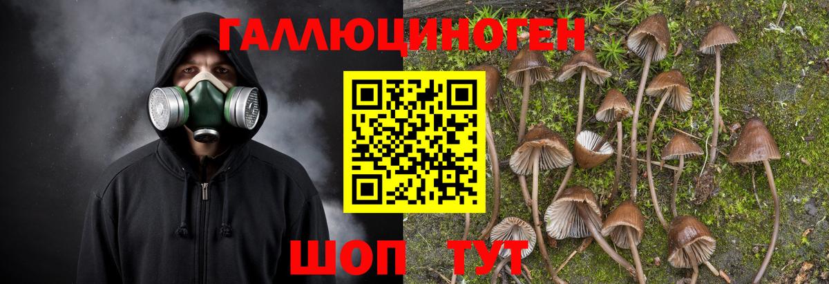Самара  Галлюциногенные грибы Psilocybe  Вход с VPN 