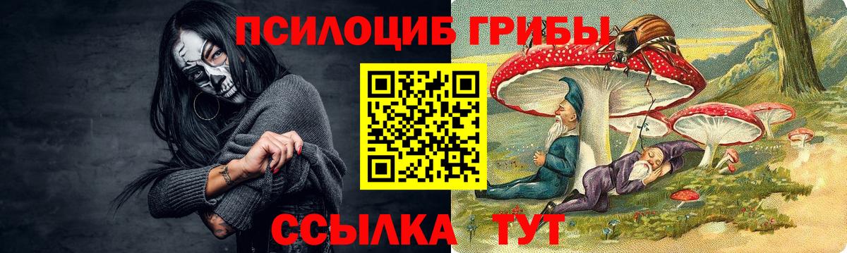 Галлюциногенные грибы Psilocybine cubensis Самара